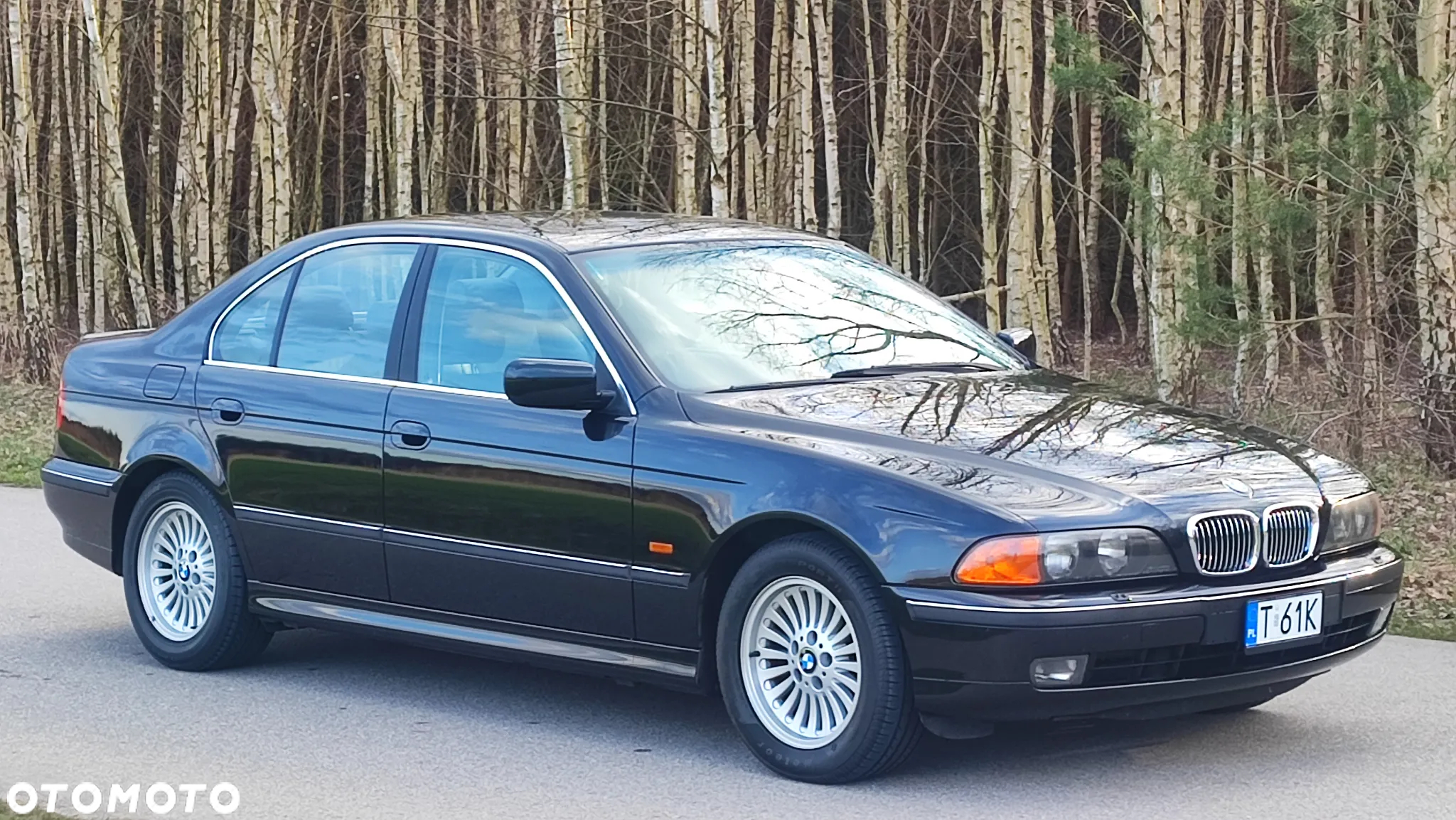 BMW Seria 5 - 3