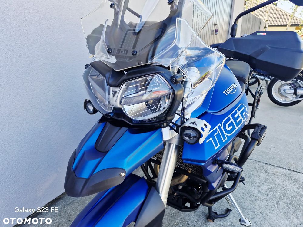 Triumph Tiger - 31