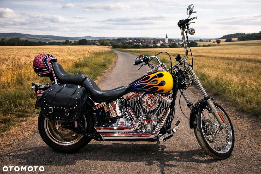 Harley-Davidson Softail Custom - 1