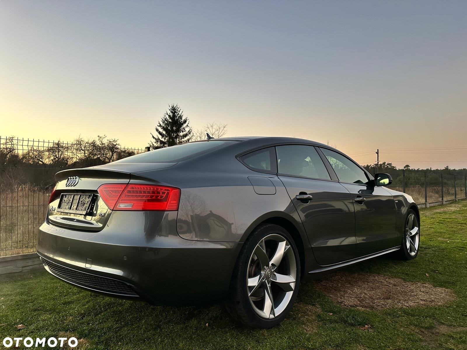 Audi A5 Sportback 2.0 TDI (clean diesel) DPF multitronic - 21