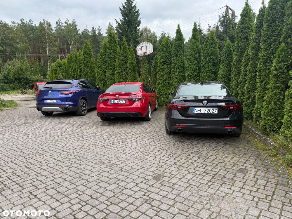 Alfa Romeo Giulia - 18