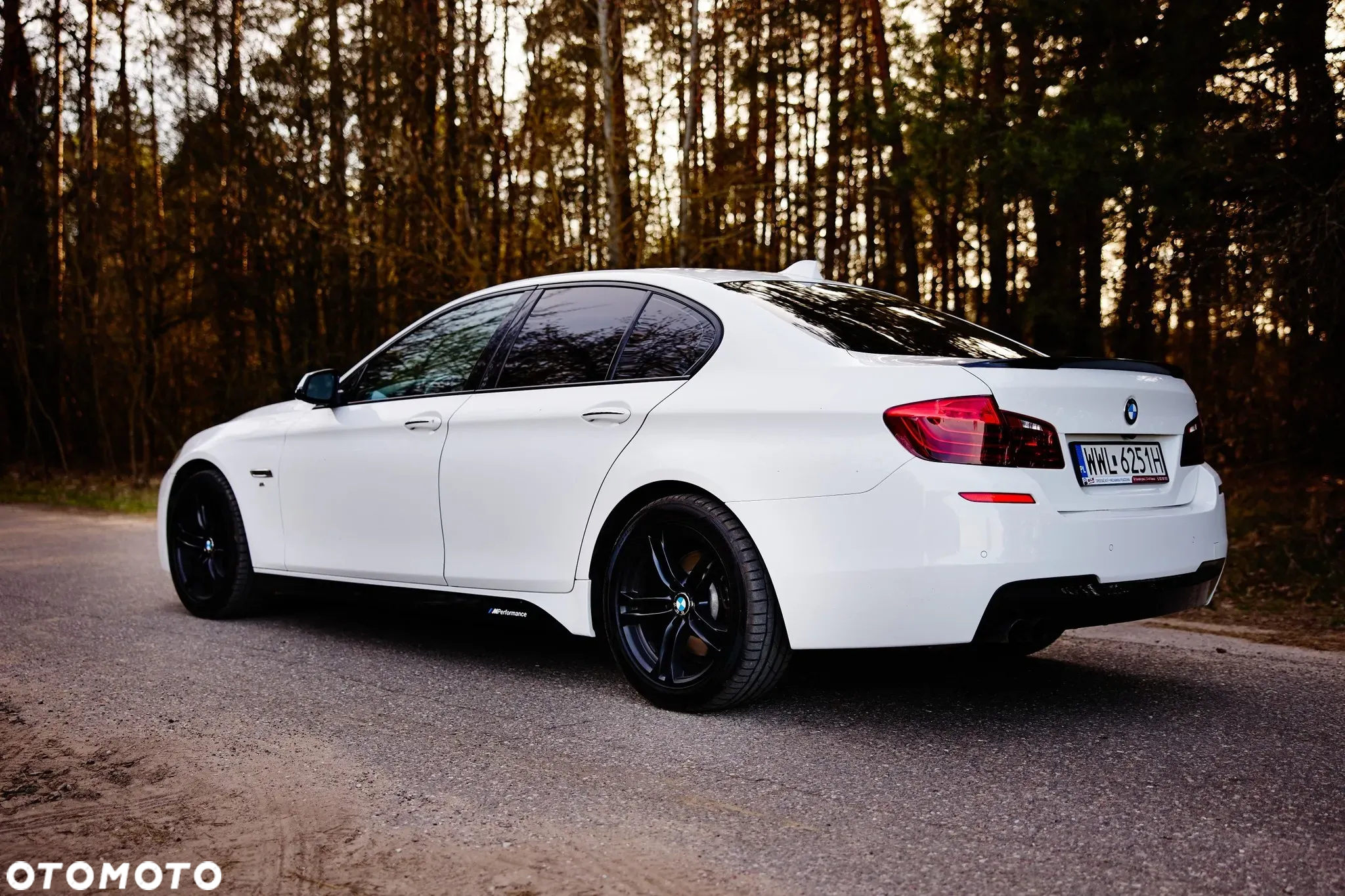 BMW Seria 5 528i xDrive Sport-Aut - 10