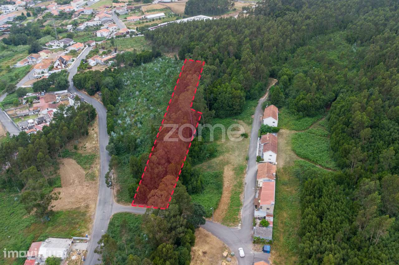 Terreno para construção, com 3.708 m2 - Grijó, V.N. Gaia - Grande imagem: 2/15