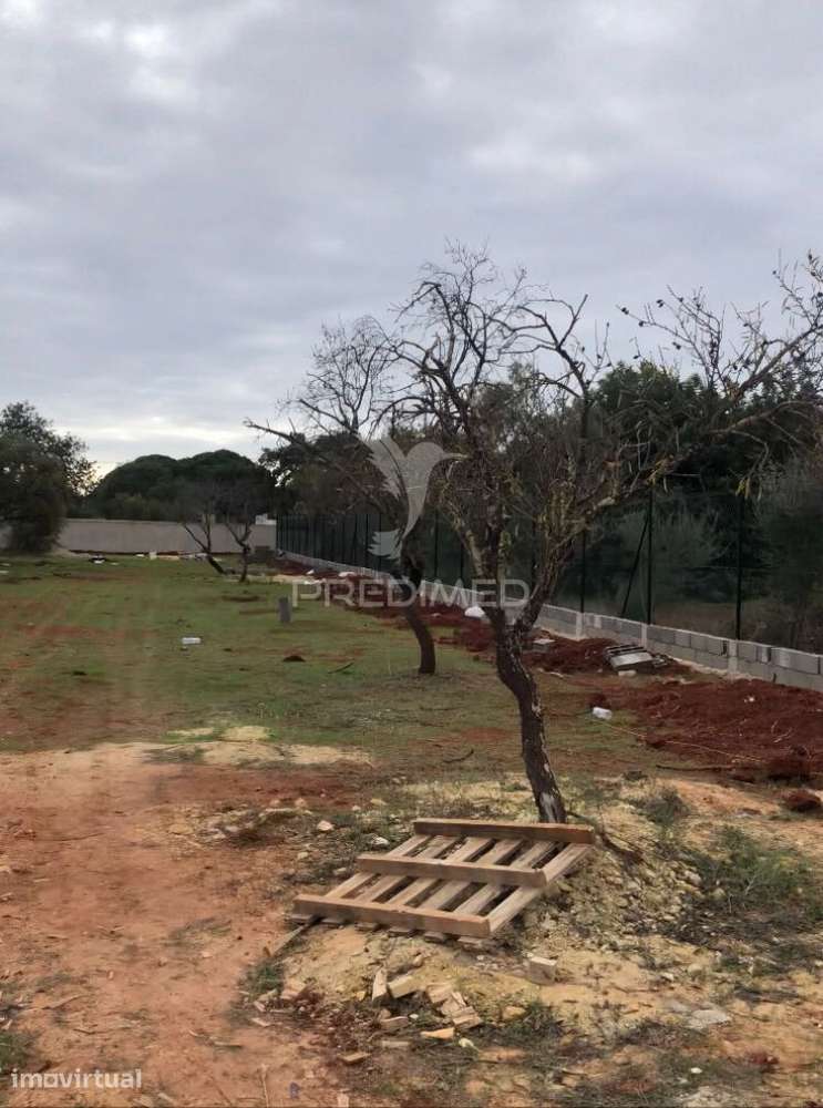 Loulé - Varzea da mão - Terreno rústico / rustic land - Grande imagem: 3/4