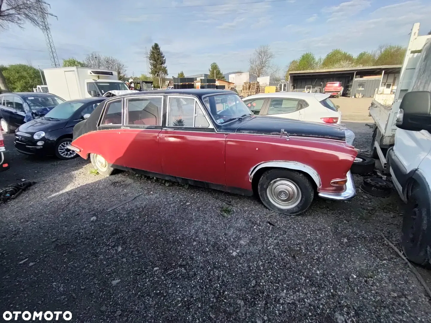 Jaguar Inny - 7