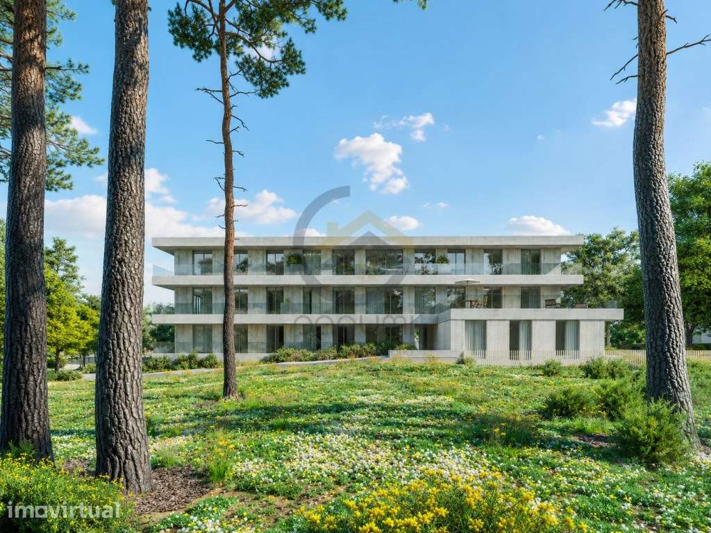 Terreno para Investimento | 5.500 m² | Projeto Aprovado para 10 Apa... - Grande imagem: 5/8