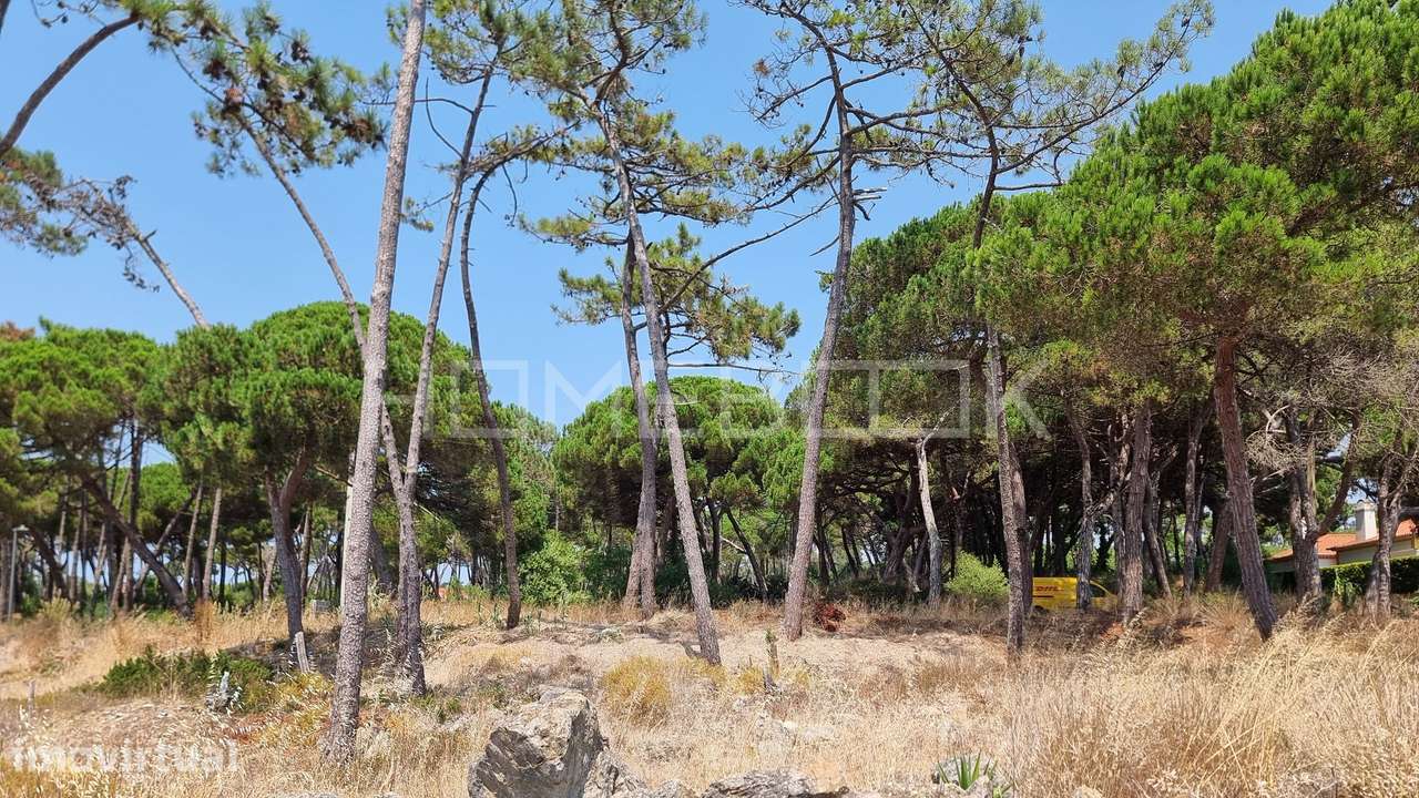 Terreno Urbano em localização privilegiada no Banzão, Colares, Sintra - Grande imagem: 4/14