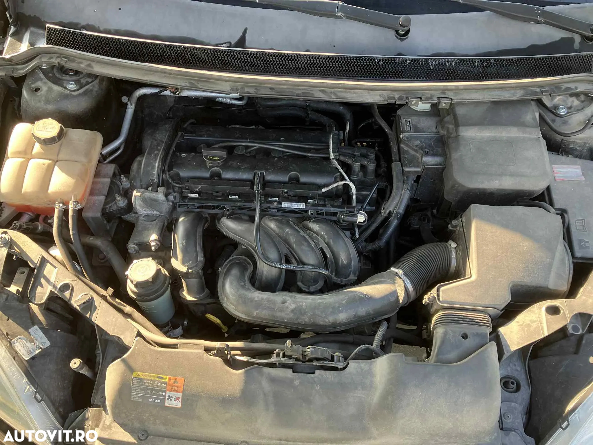 Ford Focus - 5