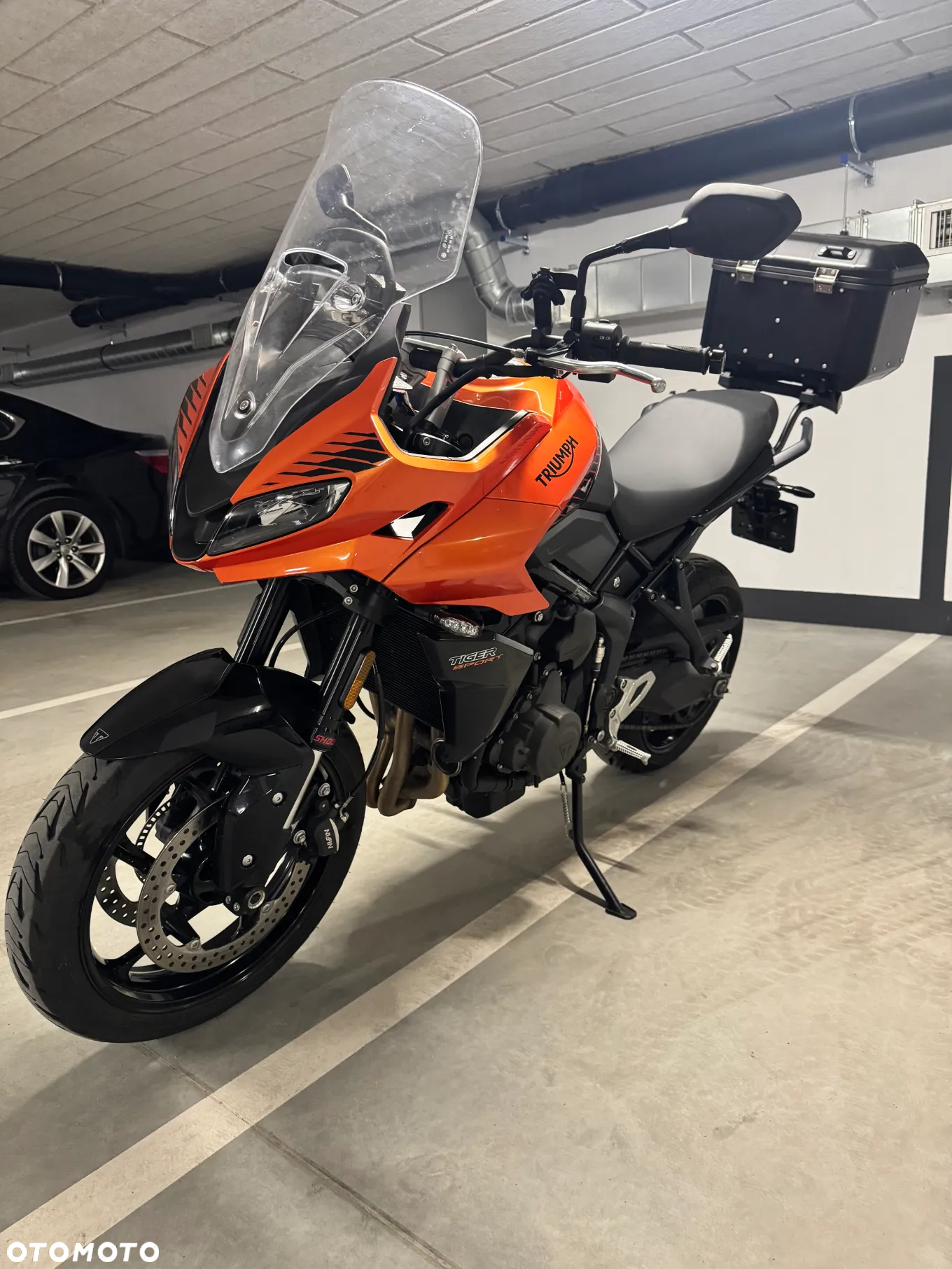 Triumph Tiger - 2