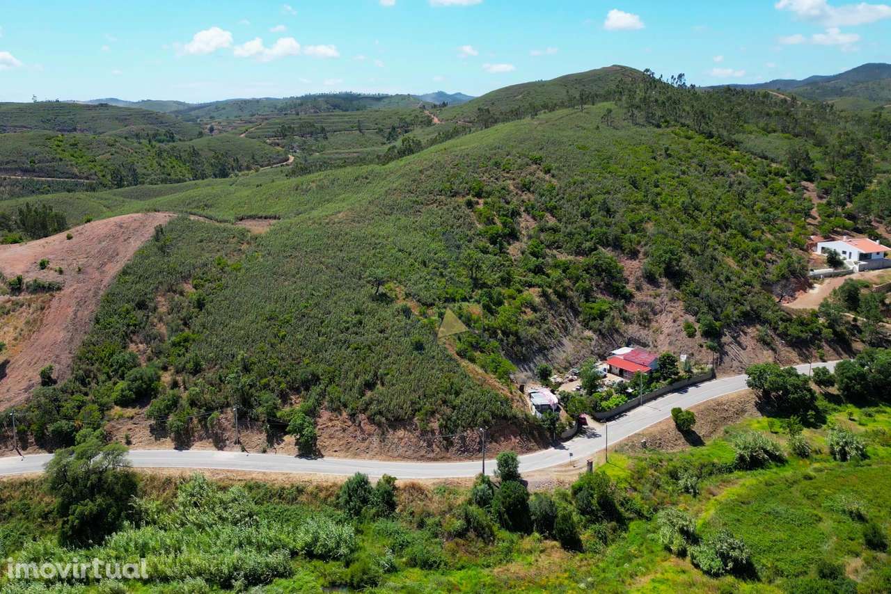 Terreno rústico em Mexilhoeira Grande com cerca de 2,4 ha de horta e s - Grande imagem: 2/16