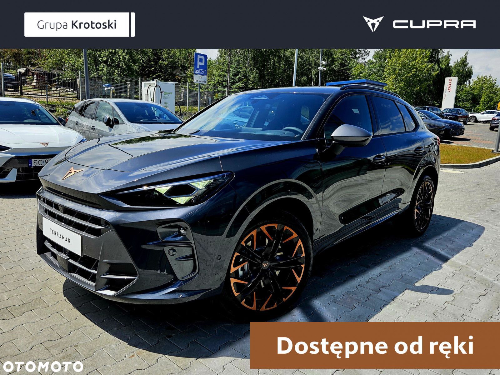 Cupra Terramar - 1