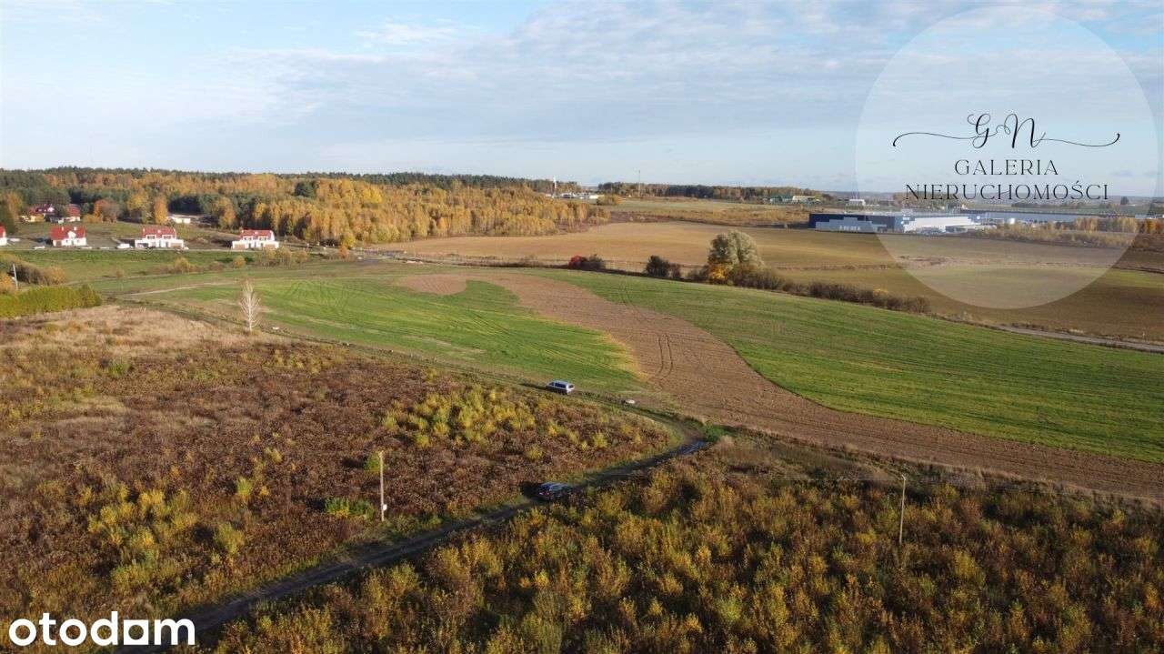 Działka na sprzedaż Tomaszkowo,JezioroWulpińskie - Pełny obrazek: 3/6