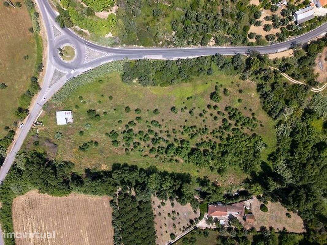 Quintinha à Entrada de Torres Novas – Localização Privilegiada - Grande imagem: 4/7