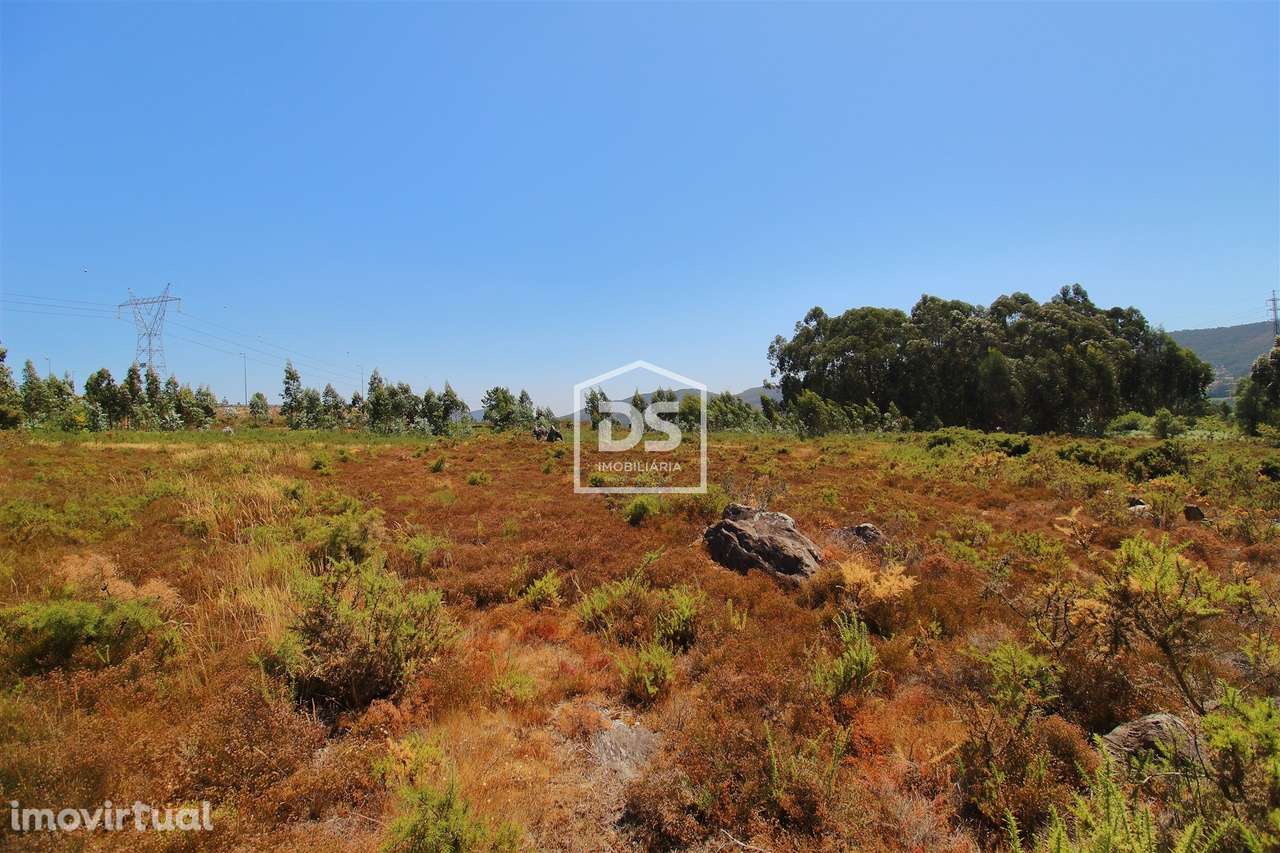 Terreno  Venda em Campo e Sobrado,Valongo - Grande imagem: 2/2