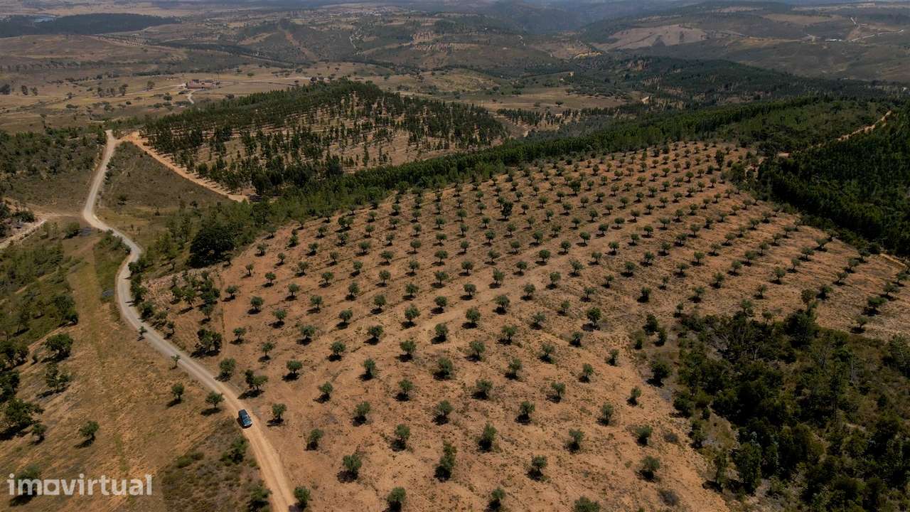 194,45 Hectares | 1 km de Frente Privada para o Rio Tejo | Portugal - Grande imagem: 4/29