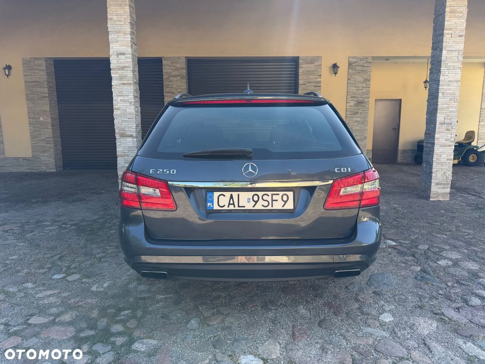 Mercedes-Benz Klasa E 250 BlueTEC 9G-TRONIC Avantgarde - 7