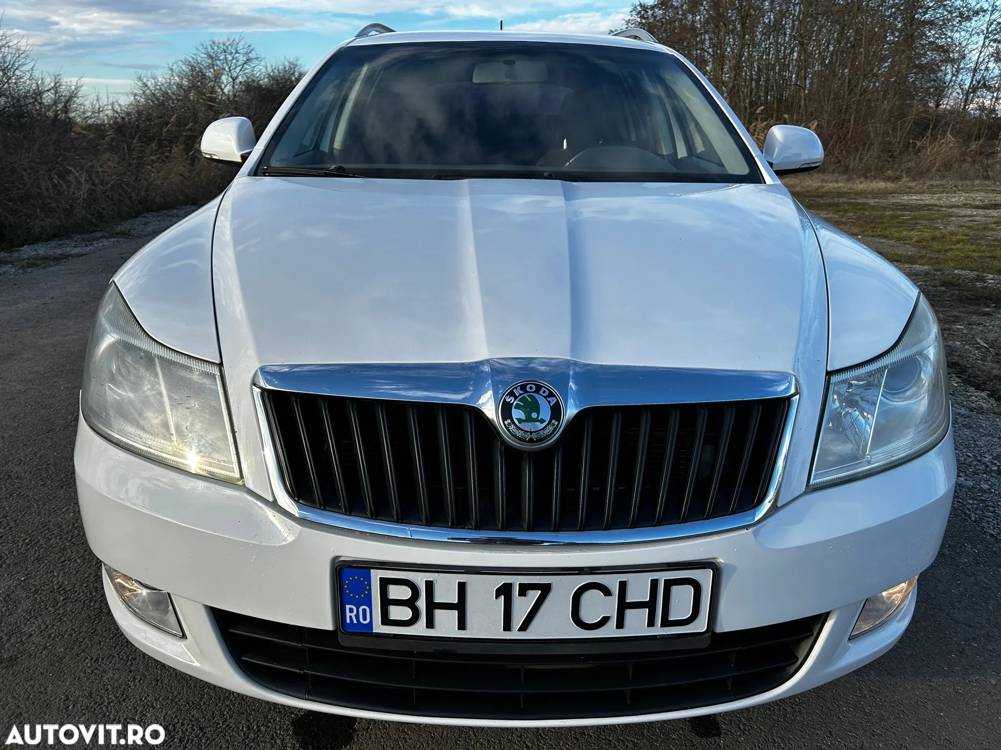 Skoda Octavia 1.6 TDI DPF GreenLine - 11