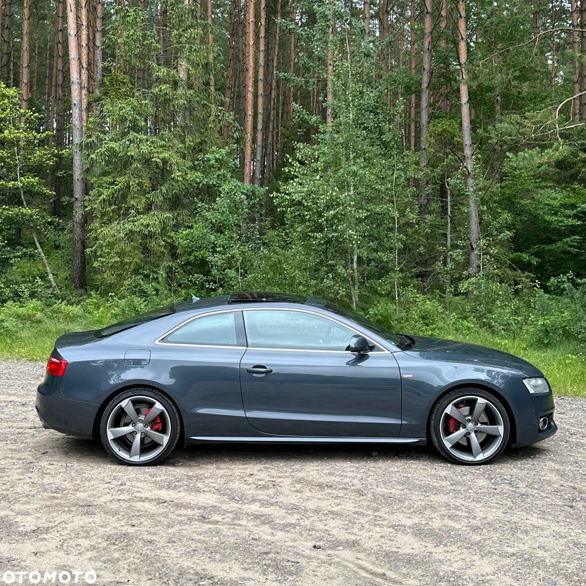Audi A5 3.0 TDI Quattro Tiptr - 5