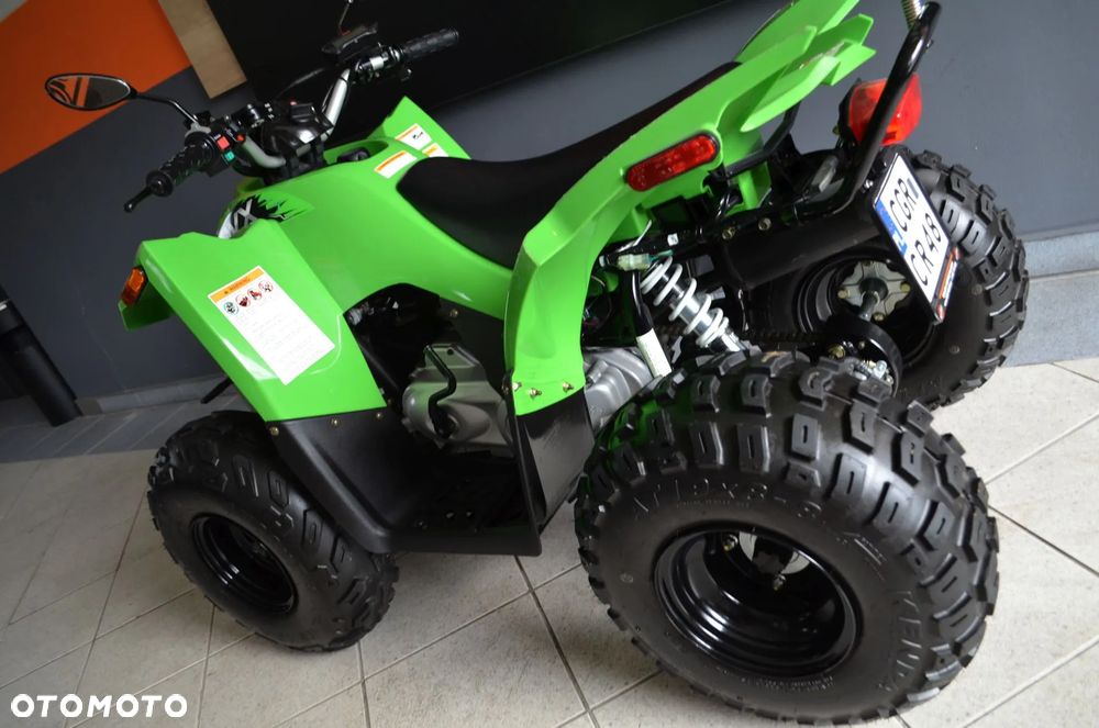 Arctic Cat Inny - 18