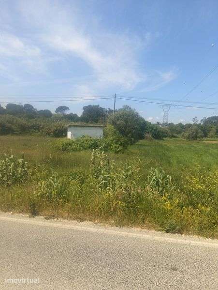 Terreno 9800m², Olaia e Paço - Grande imagem: 2/5