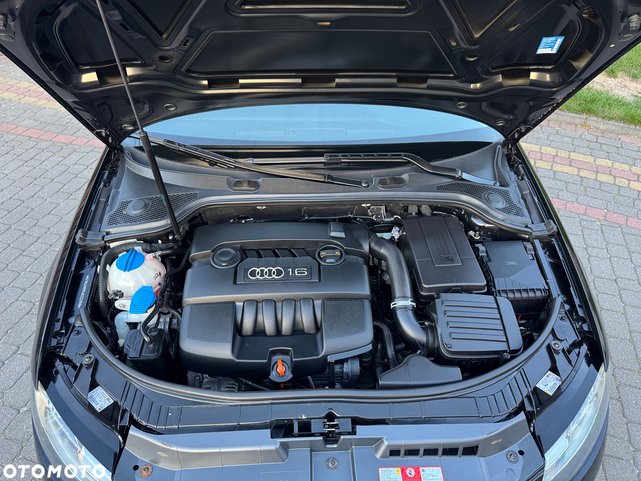 Audi A3 - 17