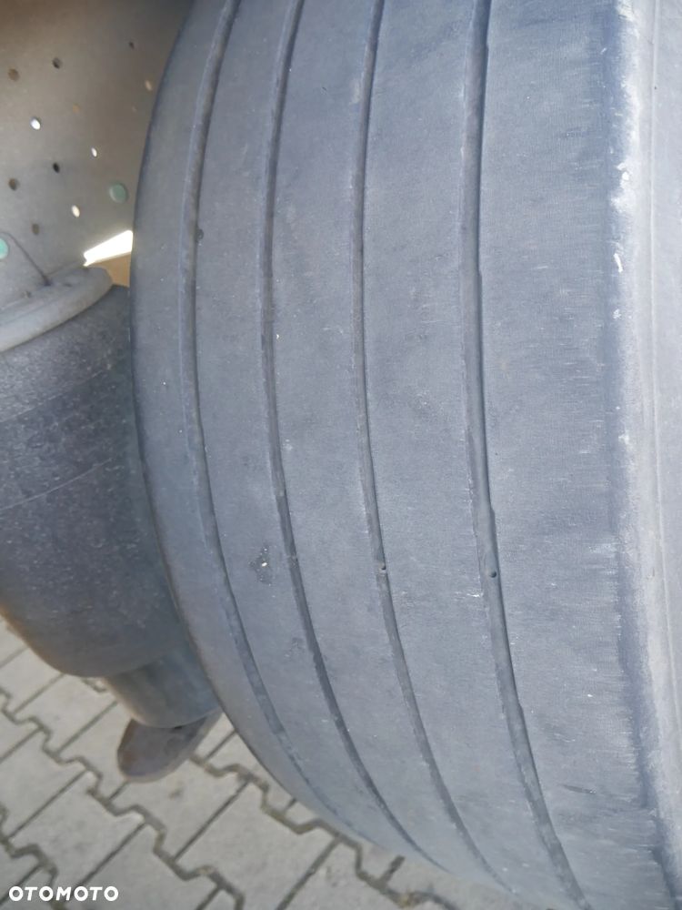 Schmitz Cargobull Firanka / Standard / TIP 643039 - 21