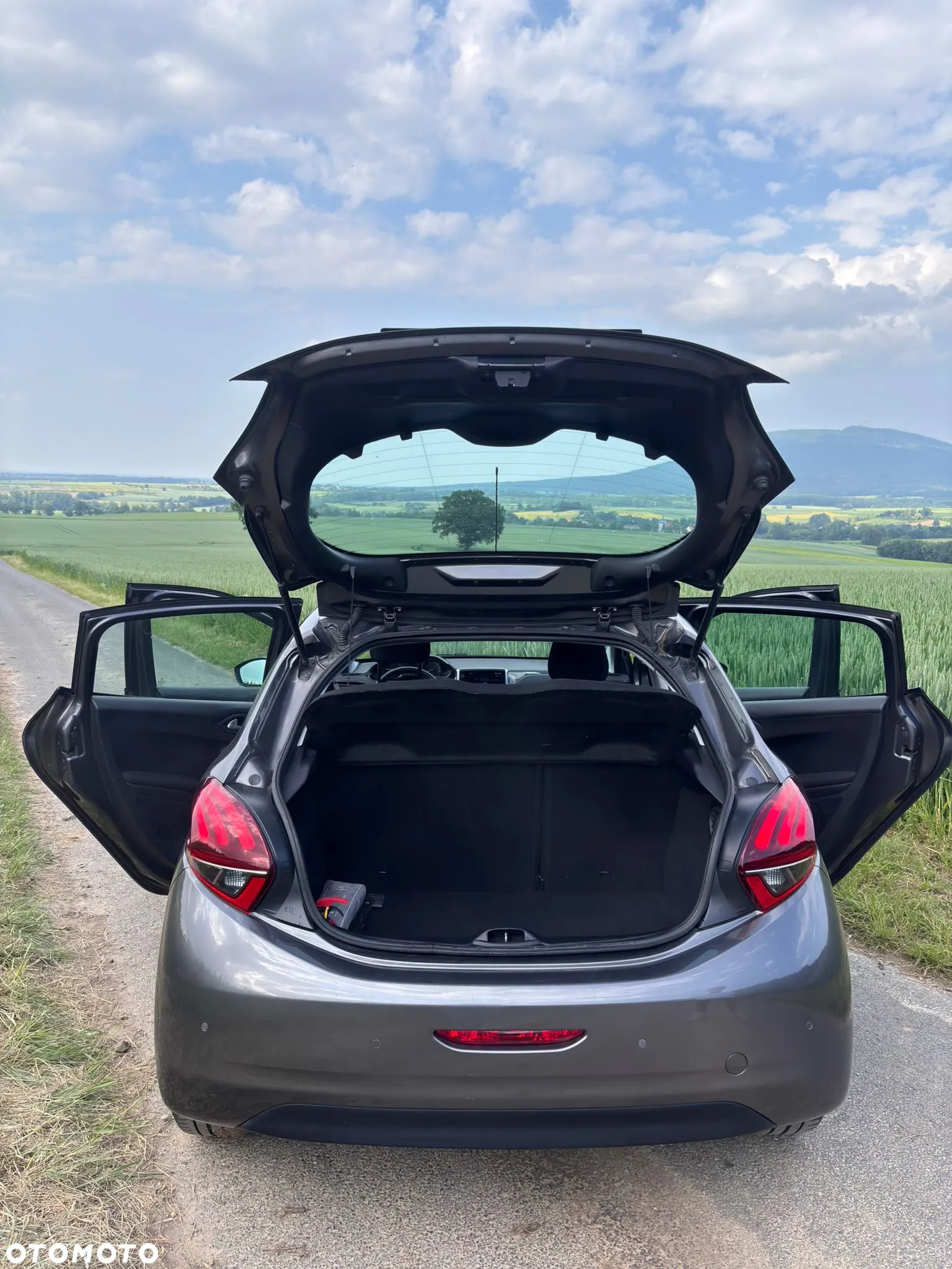 Peugeot 208 - 7