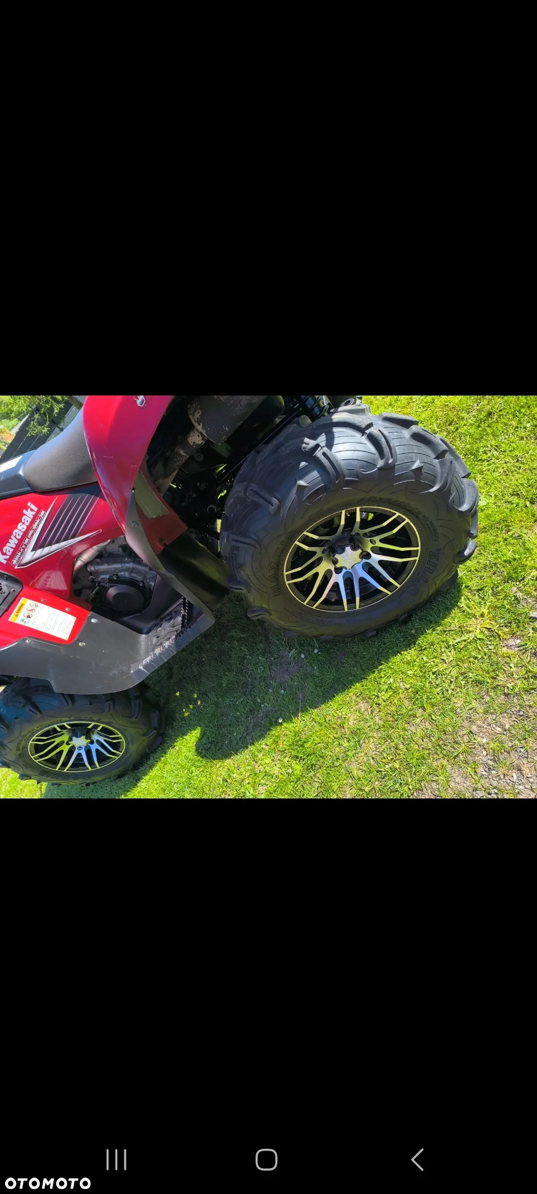 Kawasaki Brute Force