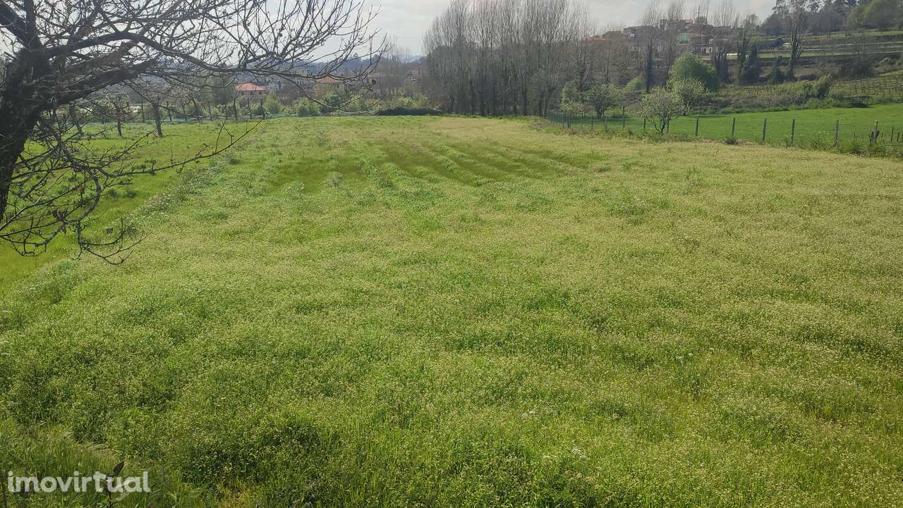 Terreno em Fiscal, Amares - Grande imagem: 2/5