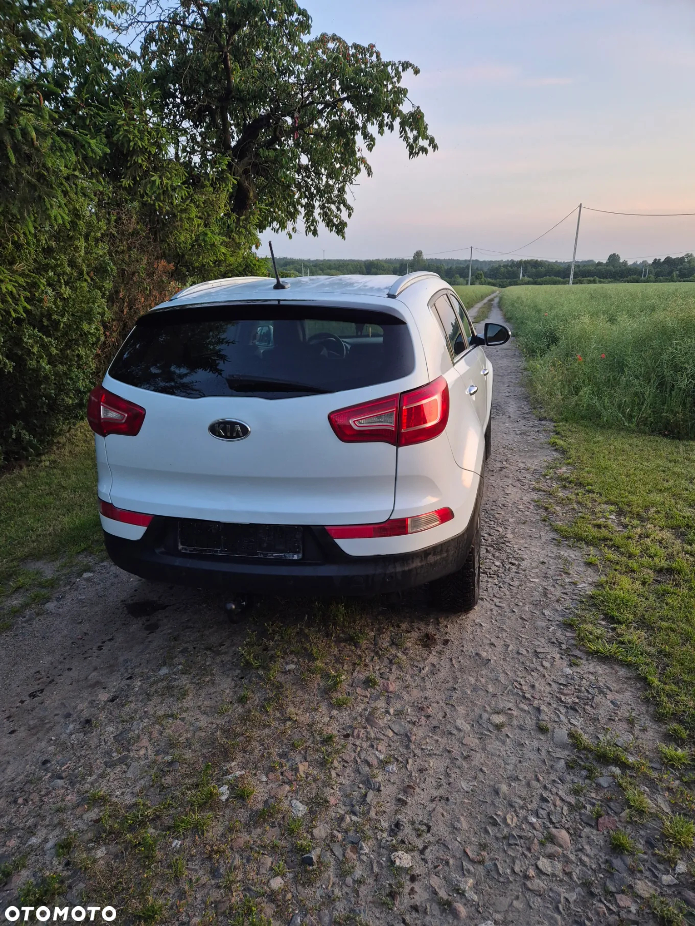 Kia Sportage - 4