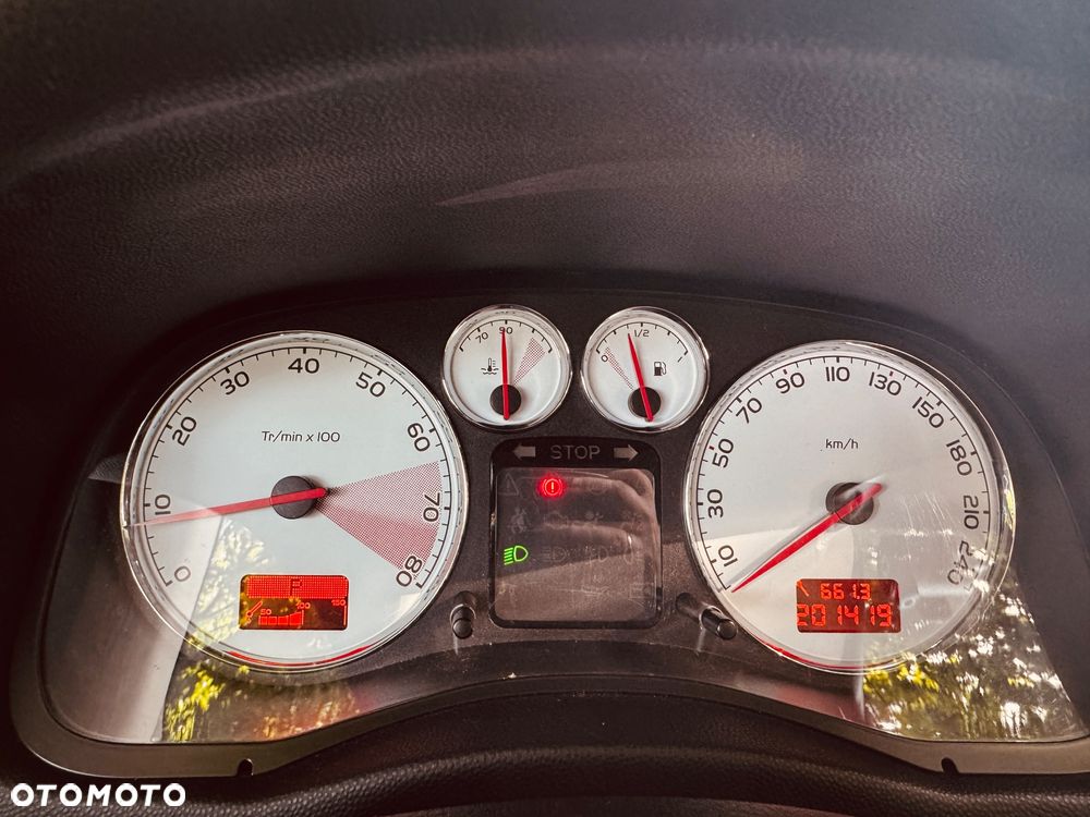Peugeot 307 1.6 - 11