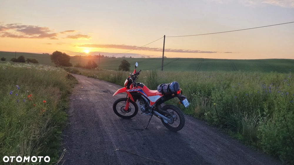 Honda CRF - 9