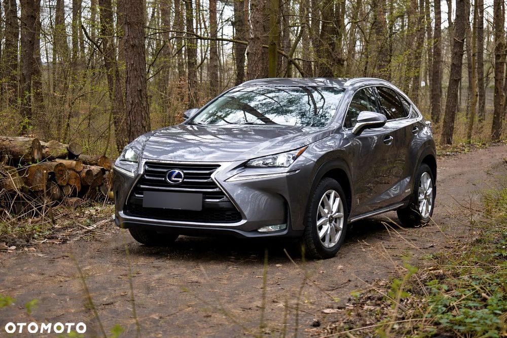 Lexus NX 300h Elegance AWD - 1
