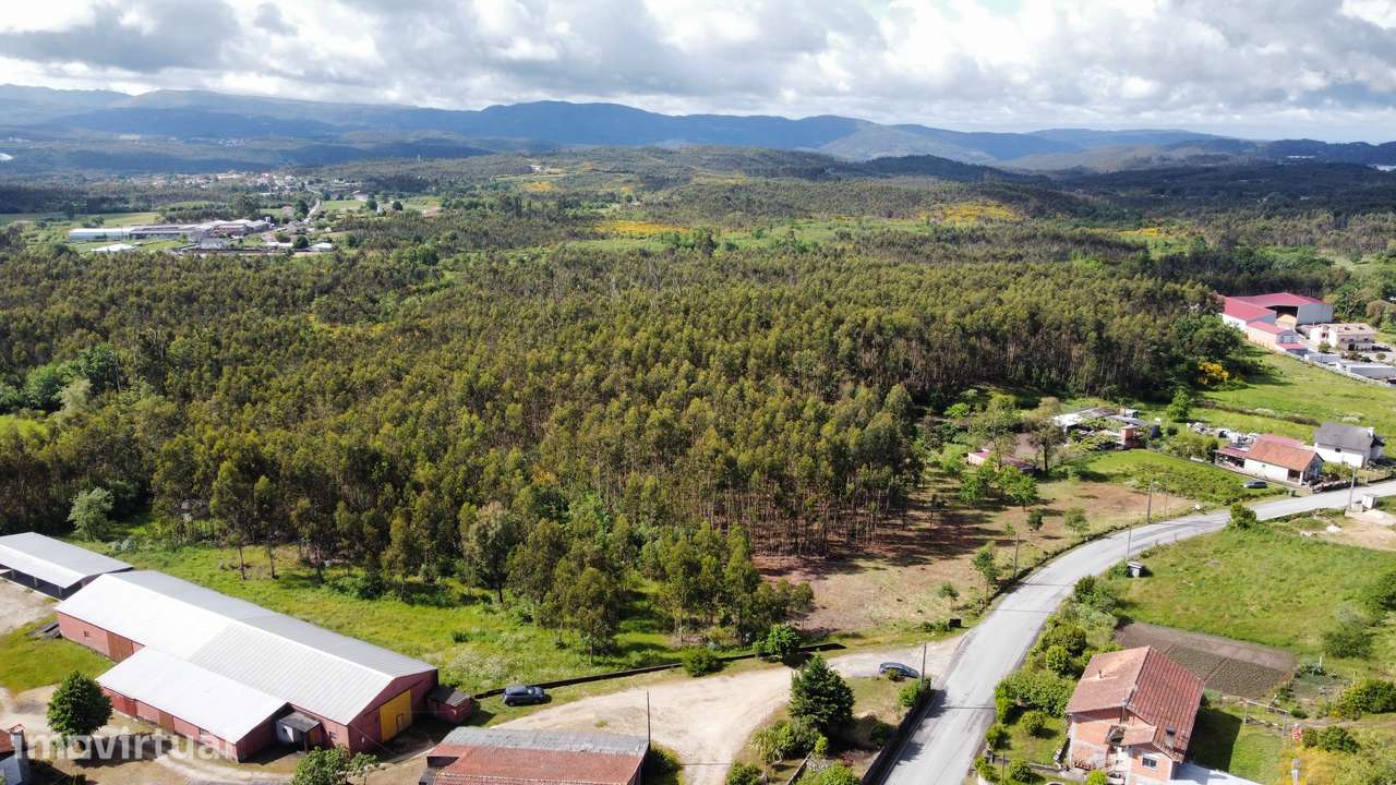Terreno p/ construção - Oliveira de Frades - Grande imagem: 2/6