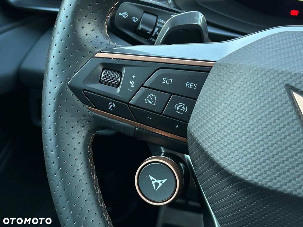 Cupra Terramar 2.0 TSI 4Drive DSG - 22