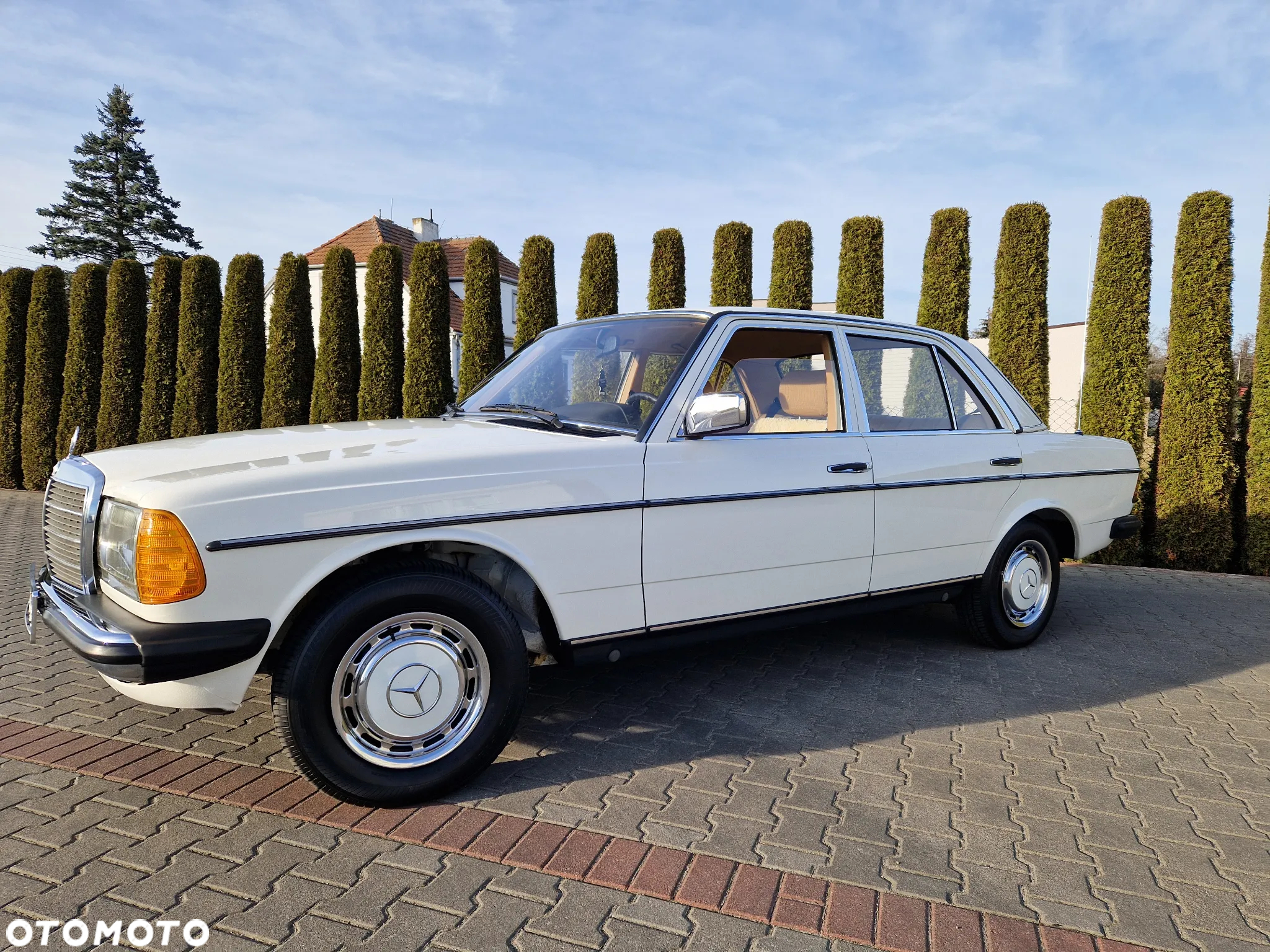 Mercedes-Benz W123 - 6