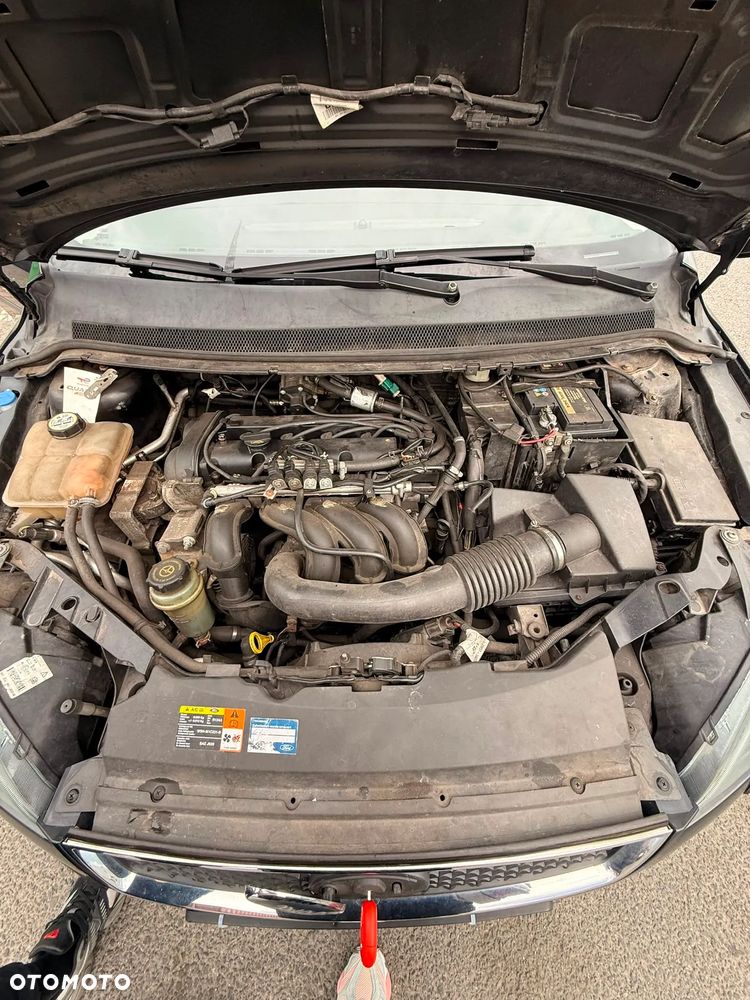 Ford Focus 1.6 Ghia - 14