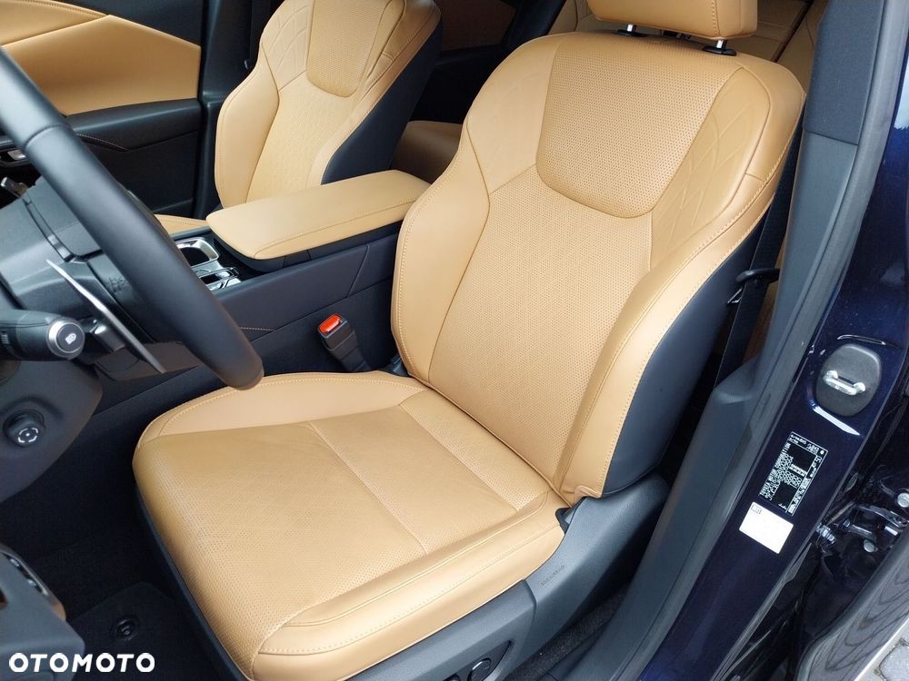 Lexus RX - 18