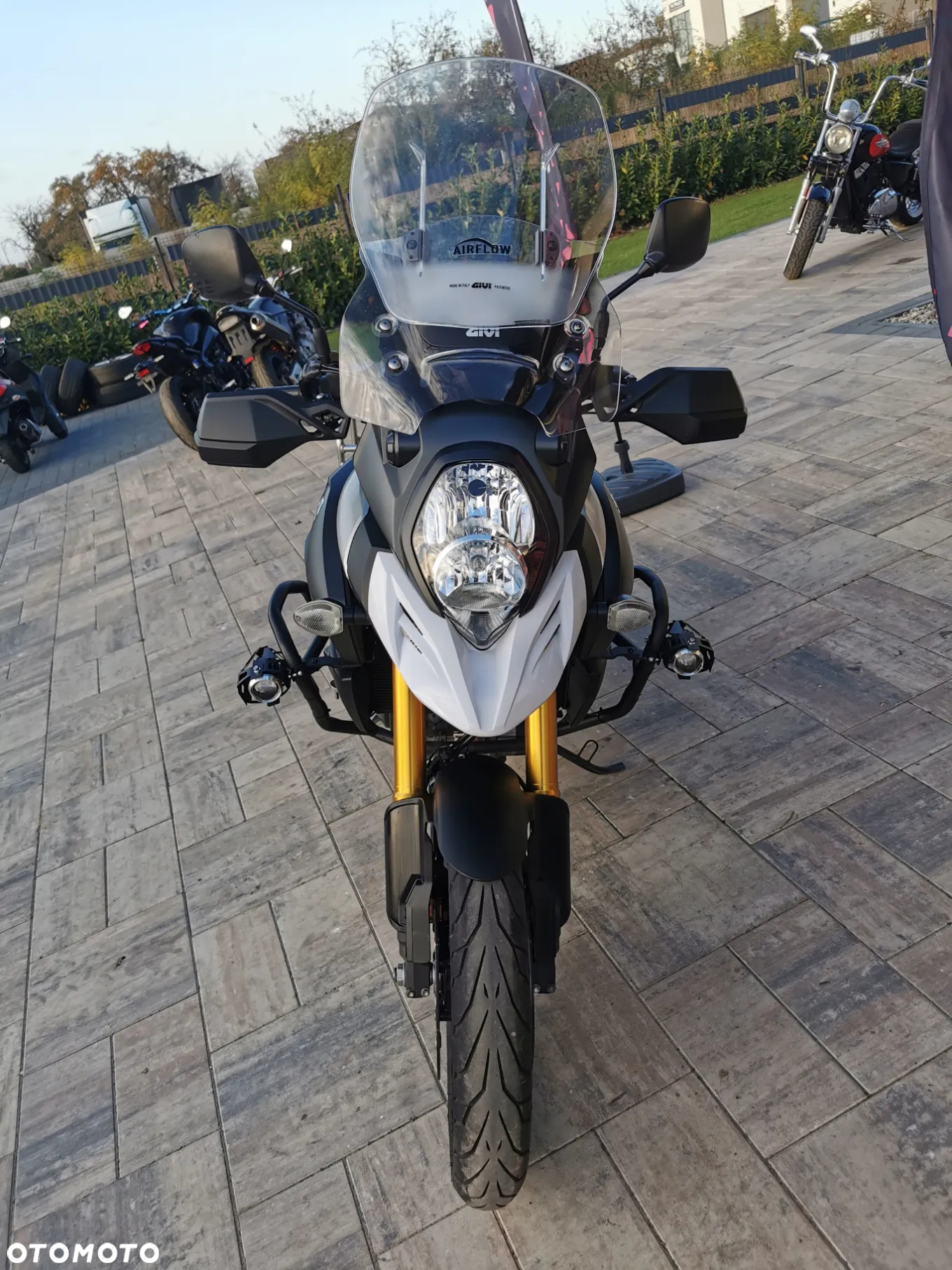 Suzuki DL - 30