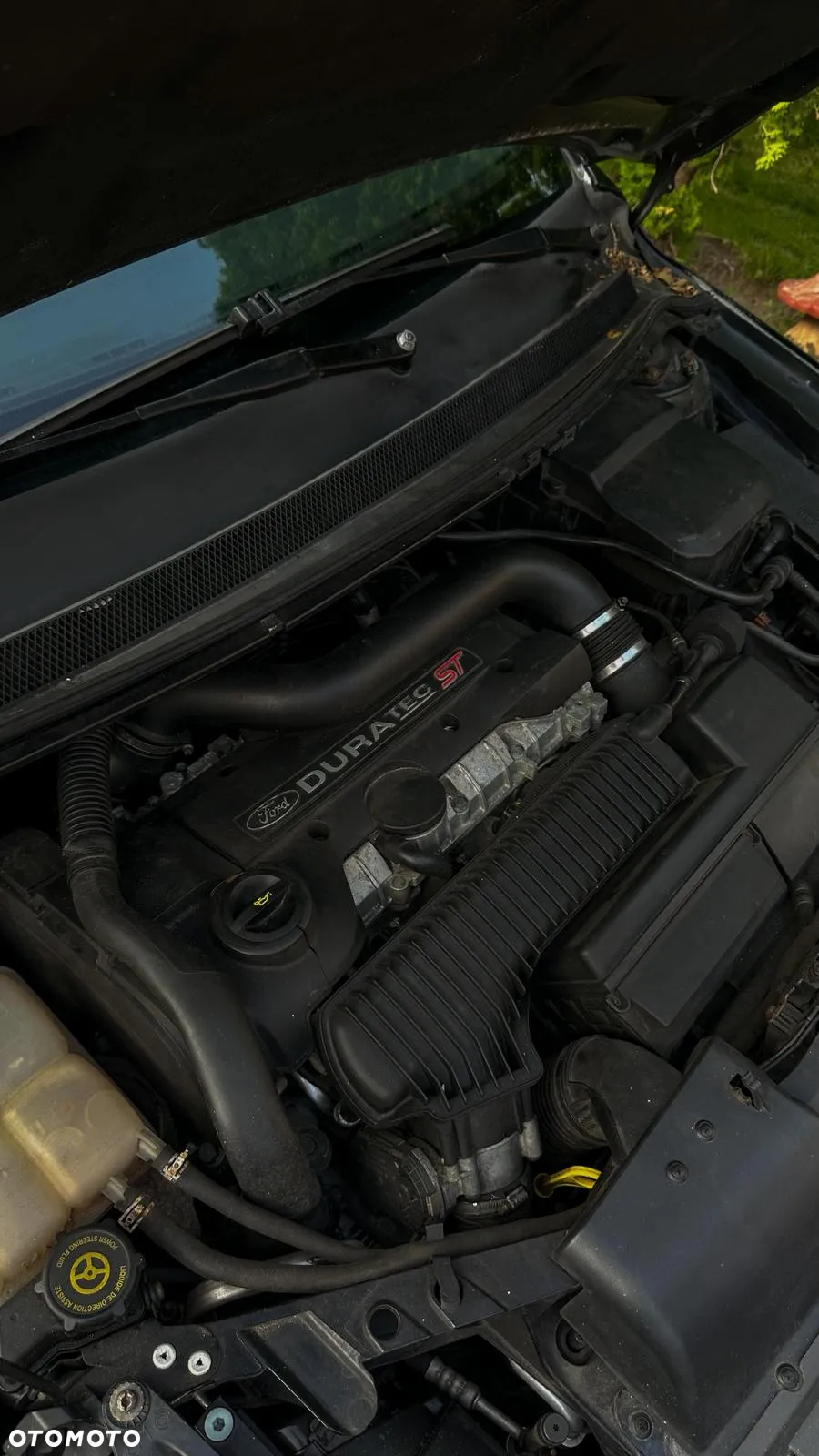 Ford Focus 2.5 ST - 6