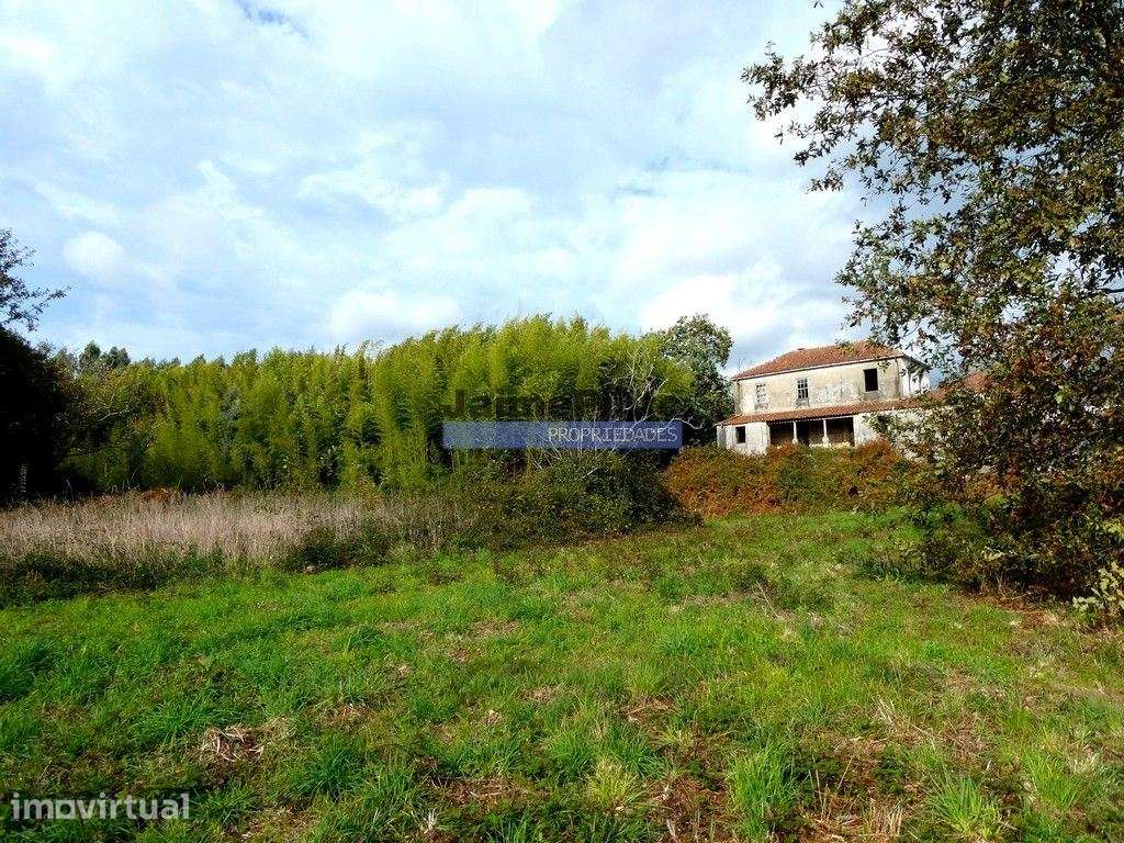 30.000m2, quinta contígua Rio Lima, Viana do Castelo. Portugal, Nor... - Grande imagem: 3/9