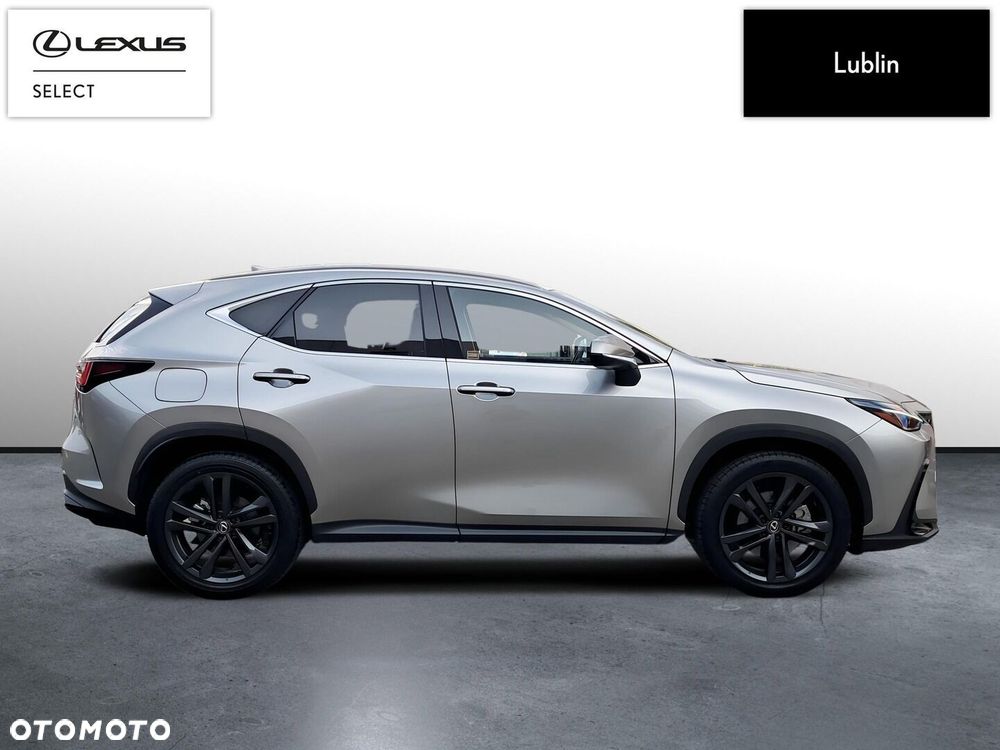 Lexus NX - 6