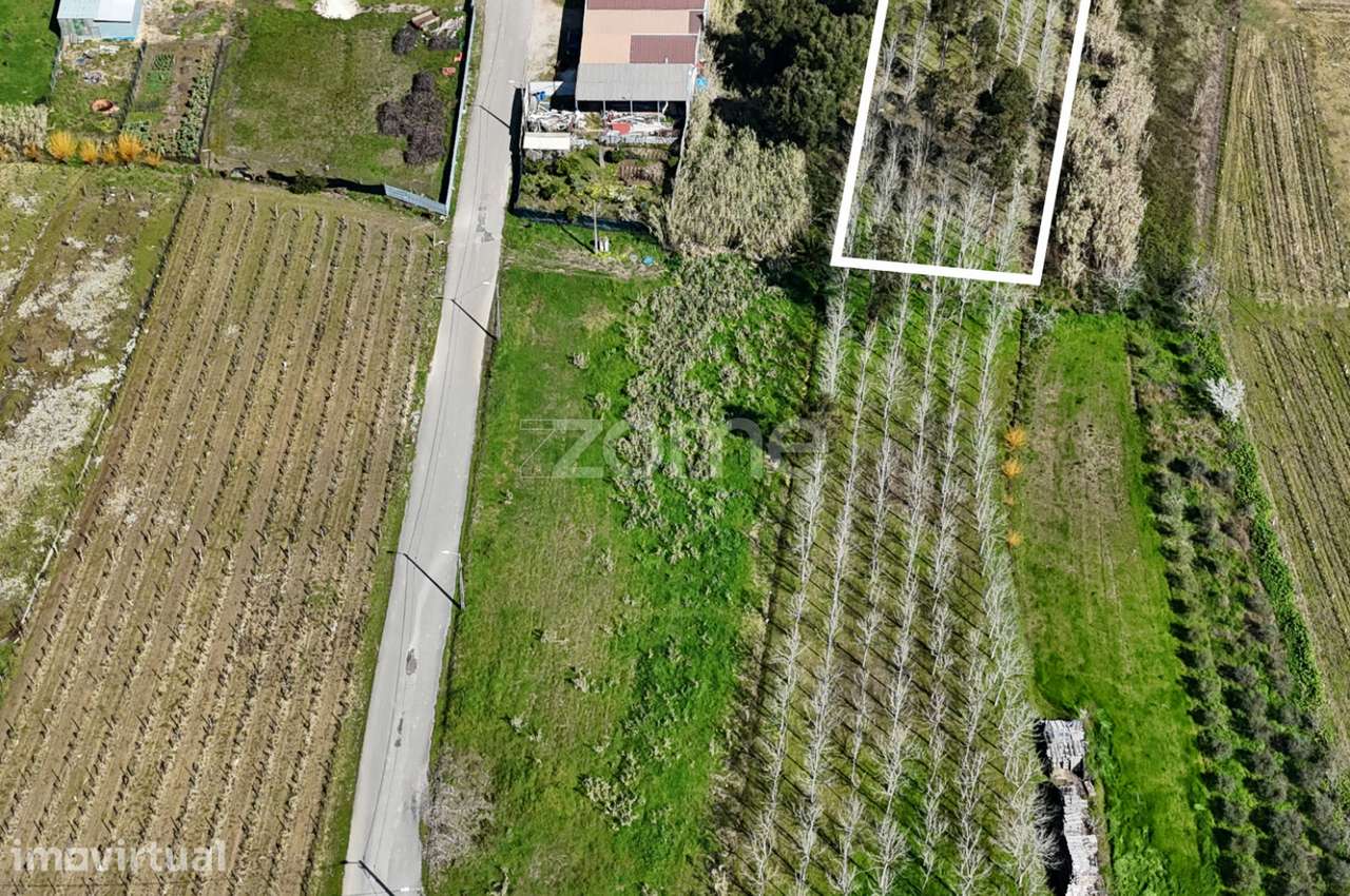 Terreno para construção - 1930m2 - Grande imagem: 2/18