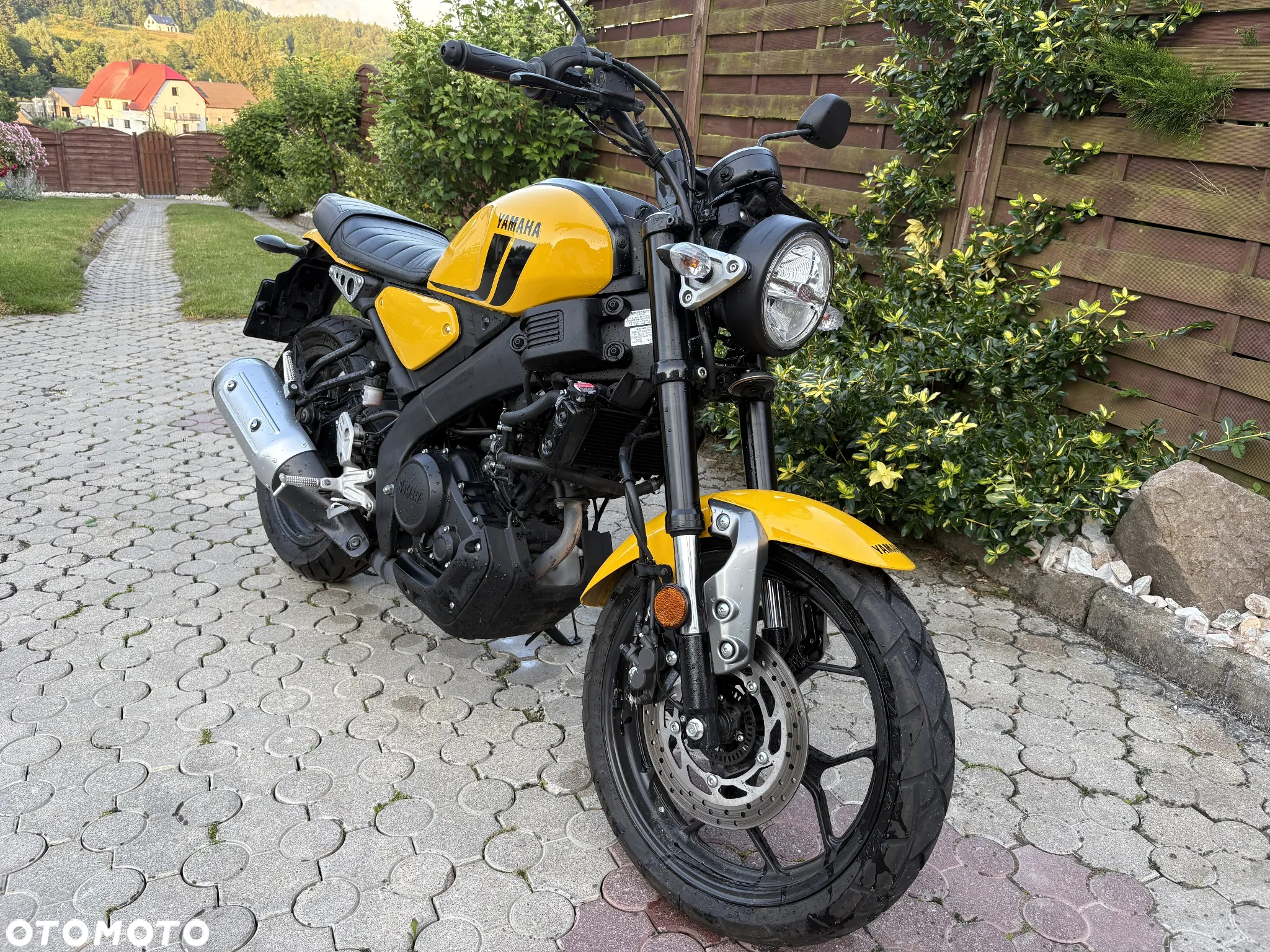 Yamaha XSR - 13