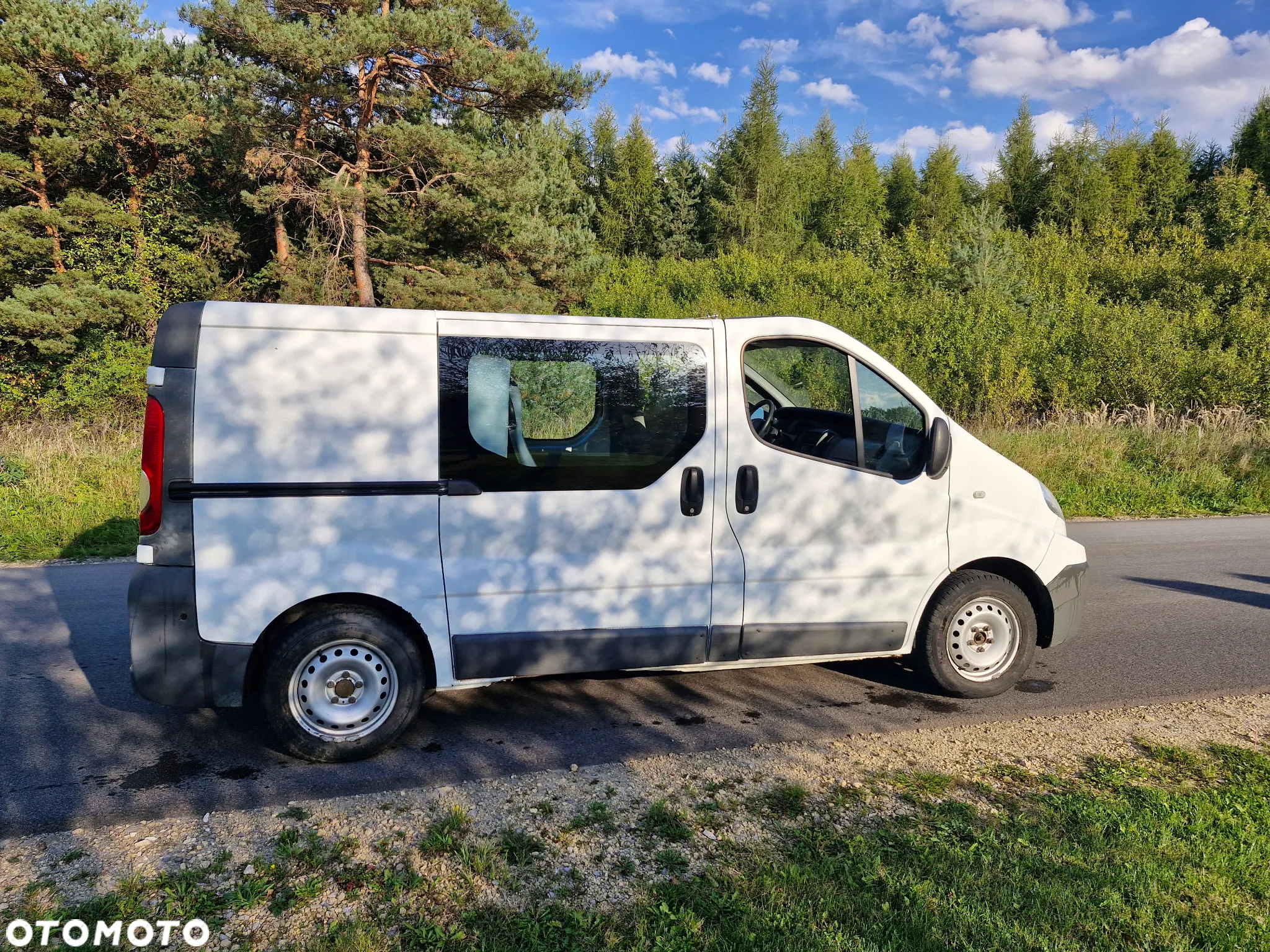 Renault TRAFIC - 7