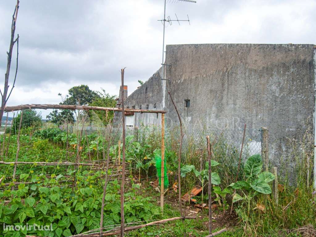 Moradia para recuperar com poço de água e luz | Alqueidão - Grande imagem: 5/16