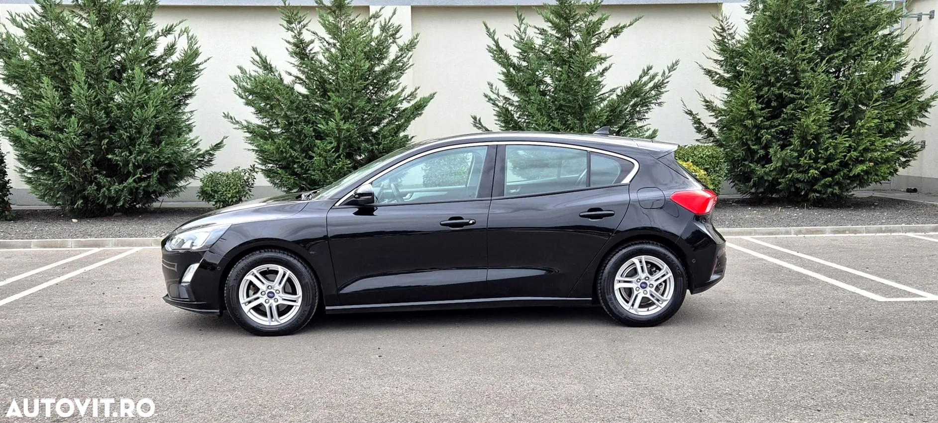 Ford Focus - 5