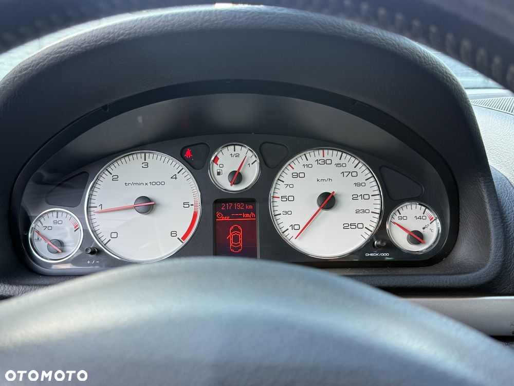 Peugeot 407 HDi 135 Premium - 10