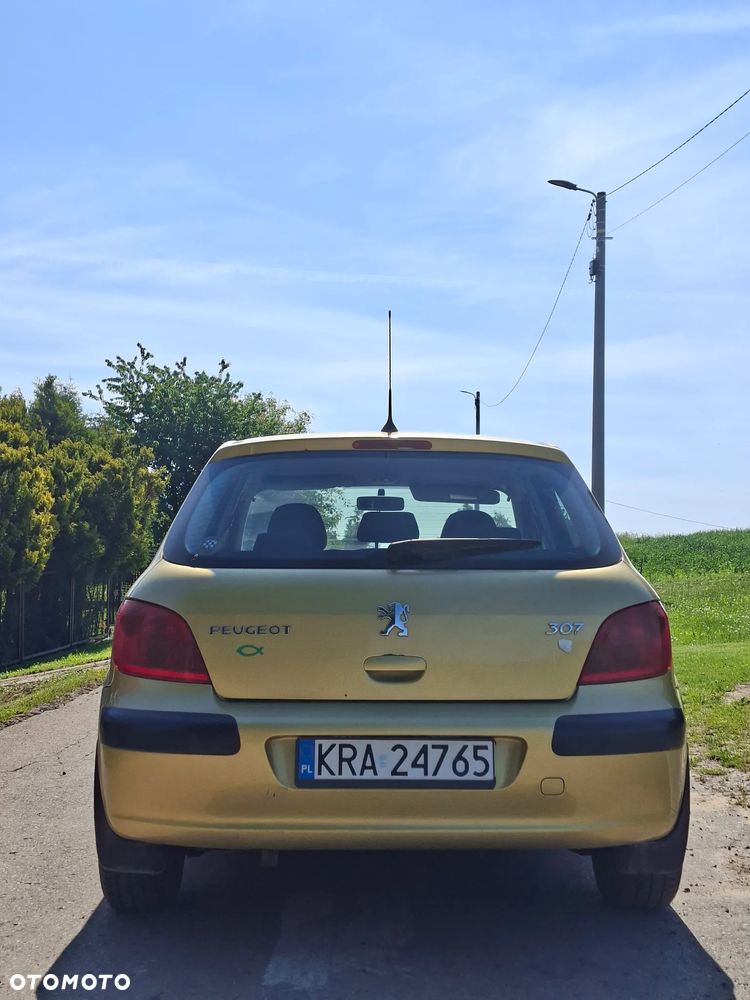Peugeot 307 1.4 XR - 5