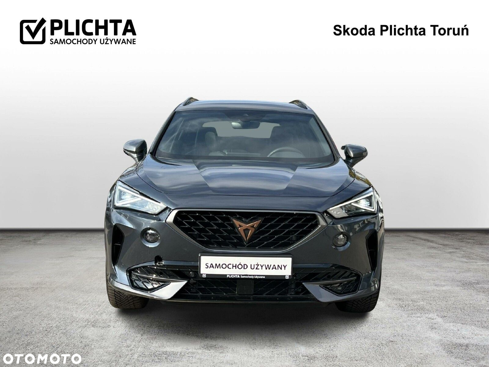 Cupra Formentor 2.0 TSI 4Drive DSG - 8